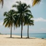 Секреты комфортной жизни в арендованных виллах на прекрасном острове Ибица